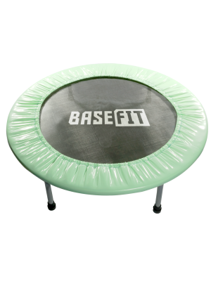 Батут TR-101 91 см, мятный