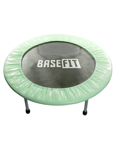 Батут TR-101 81 см, мятный