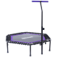 Батут TR-401 101 см с держателем, фиолетовый