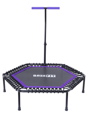 Батут TR-401 101 см с держателем, фиолетовый