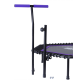 Батут TR-401 101 см с держателем, фиолетовый